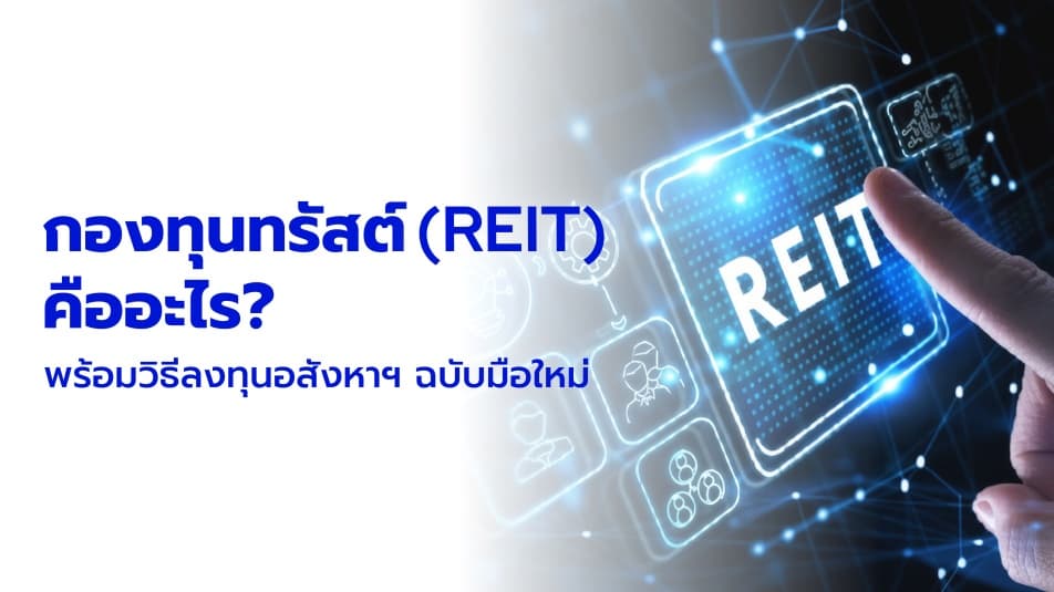 กองทุนทรัสต์ (REIT) คืออะไร? พร้อมวิธีลงทุนอสังหาฯ ฉบับมือใหม่